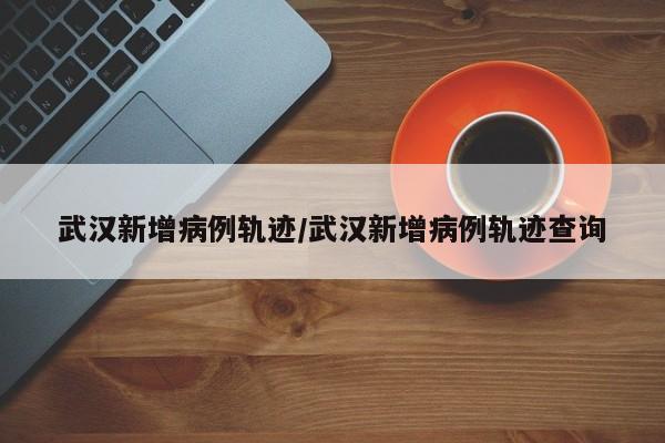 武汉新增病例轨迹/武汉新增病例轨迹查询